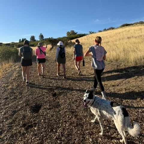 Thank you to everyone who joined us for the Women in tech and Science Community Hike last Thursday! (Featuring Milly 🐶)
We want to keep creating opportunities for the WITS community to connect outside of the office. What community events would you like to see next? Let us know in the comments! 🏓 🥾
Join us next week for WITS: Speed Mentoring. Looking for a mentor, advice or a new connection? Take the opportunity to meet with some of the most experienced and knowledgeable members of the hive.
Meet the mentors, learn more and register at link in bio (under BioHive Events)